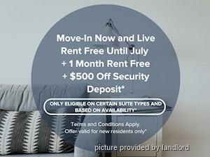 Image ViT 218553
