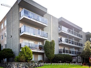 Image ViT 218580