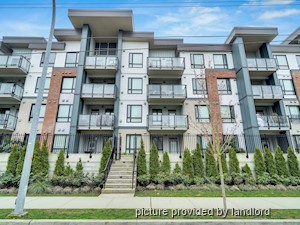 Bachelor apartment for rent in Langley