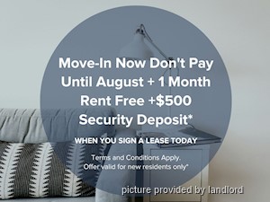 Image ViT 218606