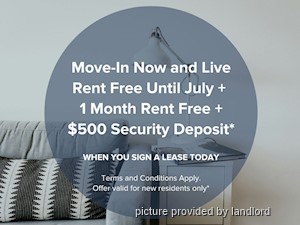 Image ViT 218606