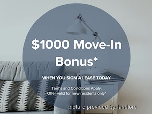 Image ViT 218711