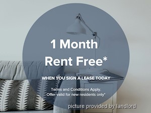 Image ViT 218711