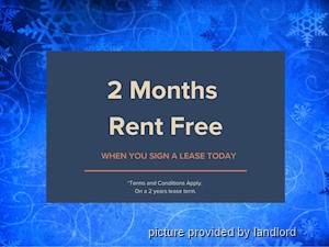 Image ViT 218751