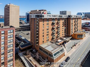Image ViT 218792