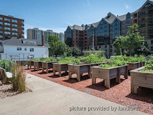 Bachelor apartment for rent in Halifax