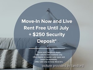 Image ViT 219372