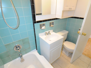 1 Bedroom apartment for rent in TORONTO   