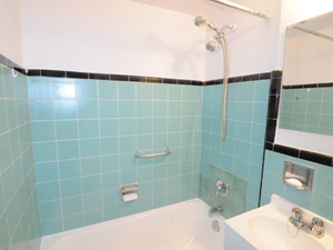 1 Bedroom apartment for rent in TORONTO   