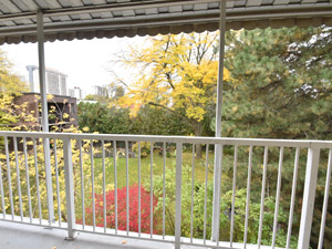 3+ Bedroom apartment for rent in TORONTO