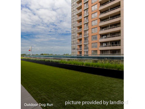 Bachelor apartment for rent in ETOBICOKE 