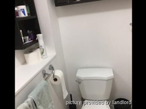 1 Bedroom apartment for rent in TORONTO