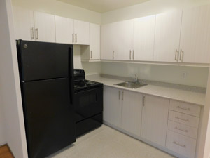 2 Bedroom apartment for rent in NORTH YORK 