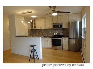 Image ViT 222832