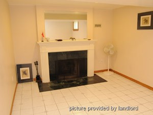 Image ViT 222845