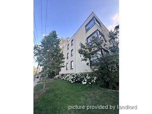 Image ViT 223176