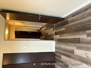 Image ViT 224150