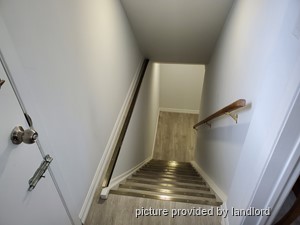 Image ViT 224229