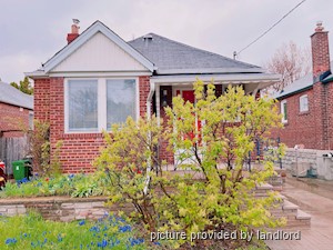 Image ViT 224466
