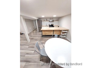 Image ViT 225232