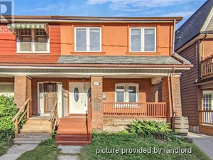 Image ViT 225688