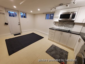 Image ViT 225690