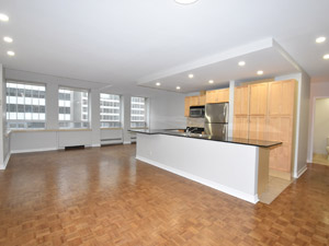 1 Bedroom apartment for rent in     