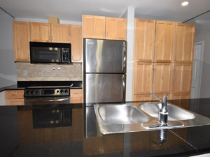 1 Bedroom apartment for rent in     