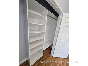 Image ViT 226236