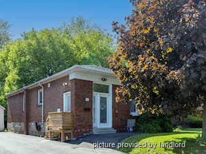 Image ViT 226321