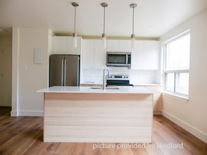 Image ViT 226365