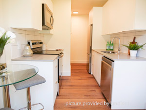 Image ViT 226366
