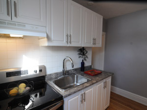 1 Bedroom apartment for rent in TORONTO