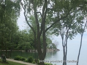 3+ Bedroom apartment for rent in TORONTO