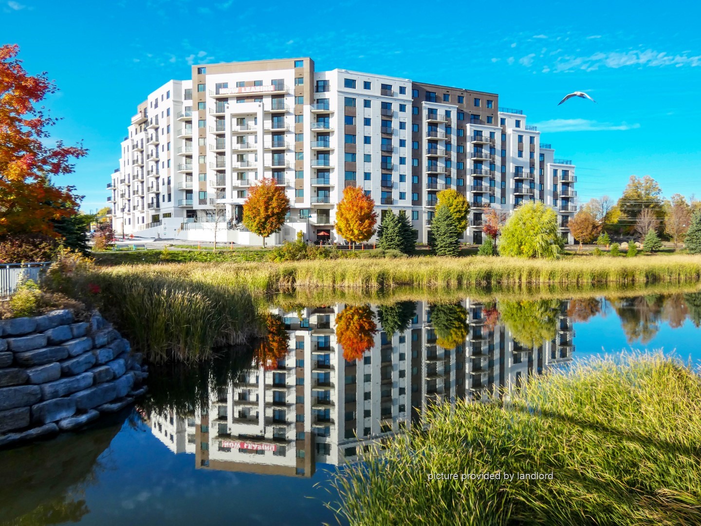 For rent 1136 Maritime Way Ottawa, 1 bdrm Viewit 227894