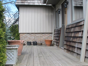 1 Bedroom apartment for rent in Toronto