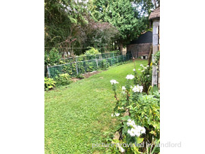 3+ Bedroom apartment for rent in TORONTO