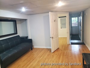 Image ViT 228885