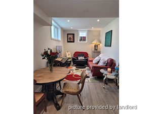Image ViT 229007