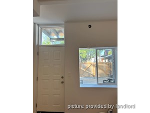 Image ViT 229142