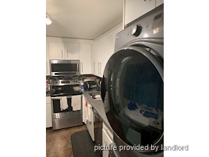 Image ViT 229246