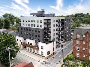 Rental High-rise 101 Ochterloney St, Dartmouth, NS