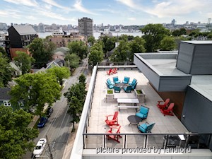 1 Bedroom apartment for rent in Dartmouth