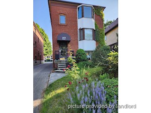 Image ViT 229421