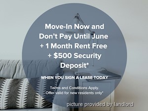 Image ViT 229452