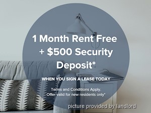 Image ViT 229452