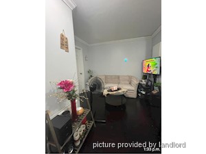 Image ViT 229701