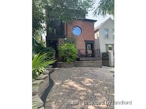 Image ViT 229924