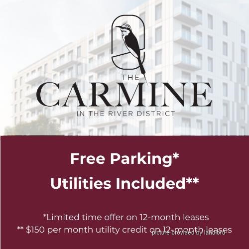 For rent 528 Lancaster Street Kitchener, 1 bdrm Viewit 229956