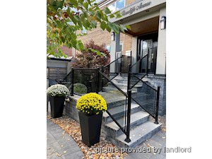 Image ViT 230542